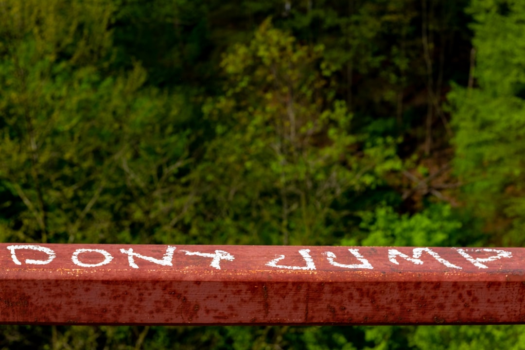 Risks to consider before you jump in