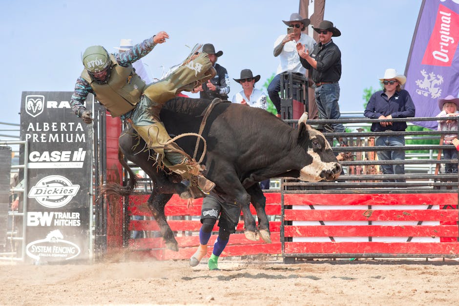 The bull case: why I’m bullish on this AI stock