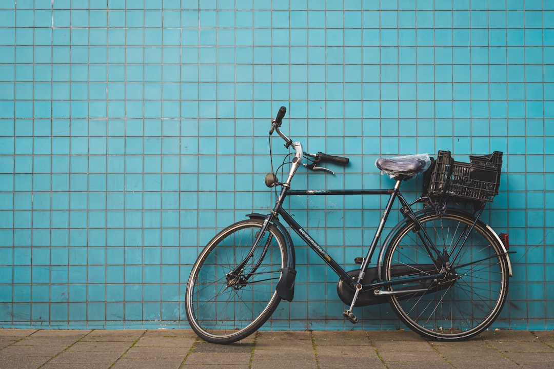 Real-World Context: Lessons From Past Cycles