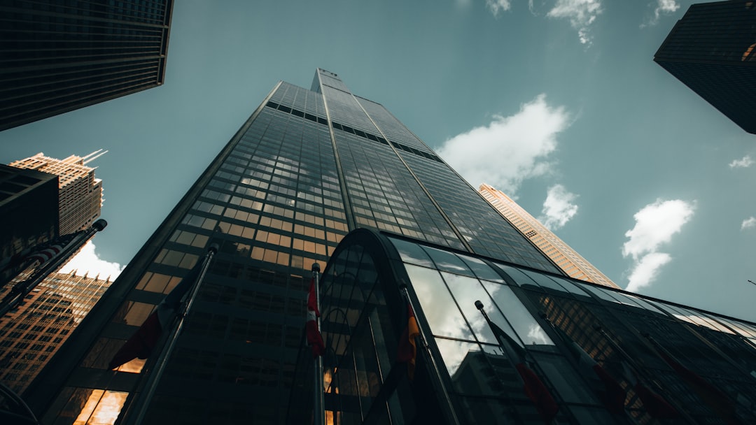 Risks and Considerations: A Balanced View