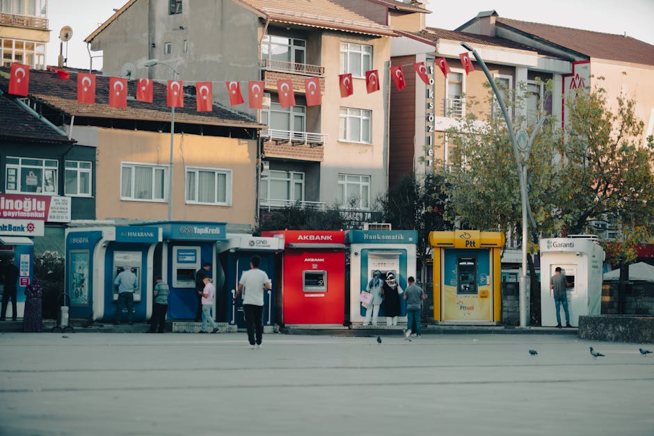 What It Means for Public Services