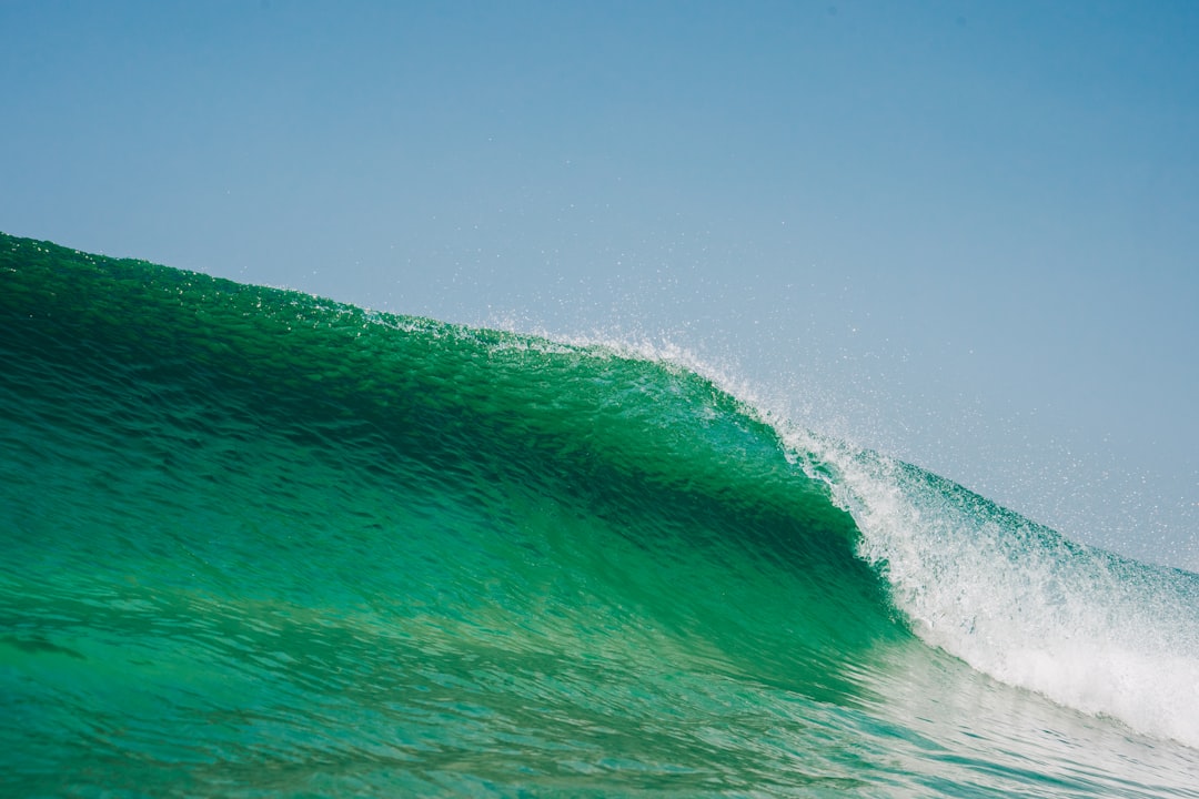 The Wave Behind the Change