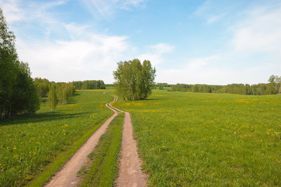 How to Decide Between These Paths