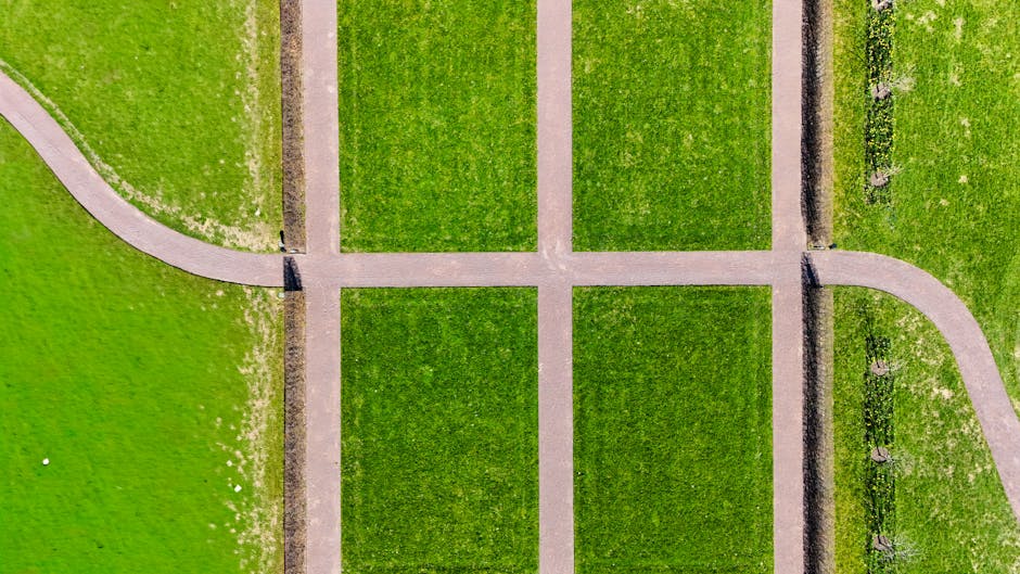How These Paths Could Fit with a Historically Pricey Stock Market