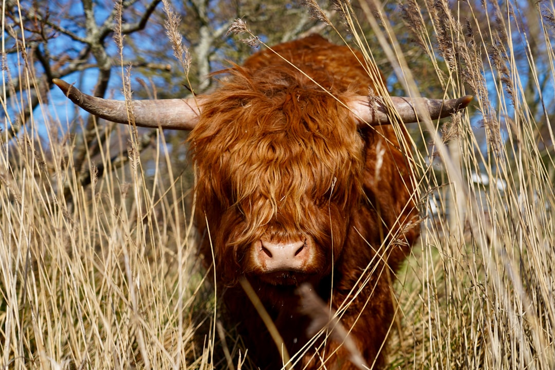 The Bull Case for a Stock Triple by 2027