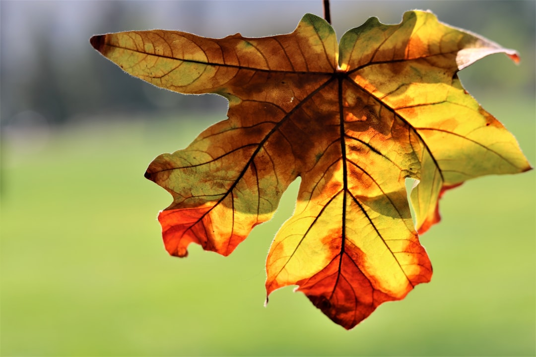 Seasonal Outlook And What It Means