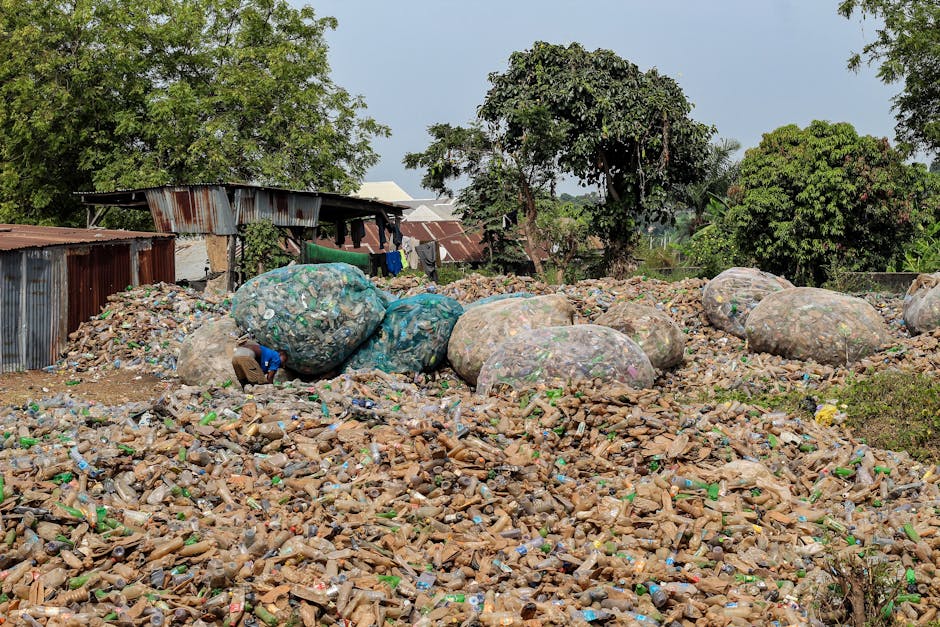 Revenue Recycling: Turning Polluters Into Public Goods