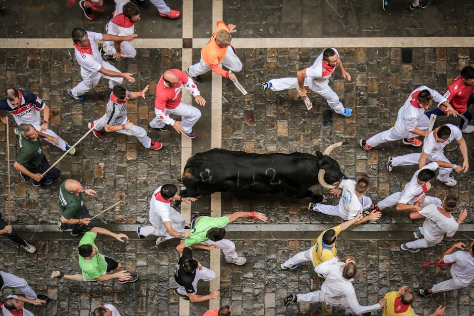 The Fundamental Debate: Why Bulls See Growth