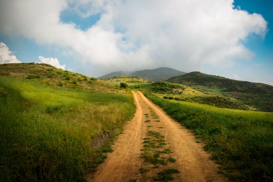 Risks and the Path Forward