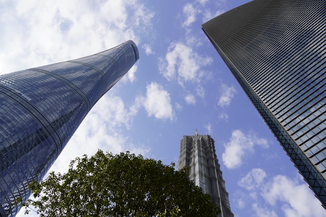 Policy Outlook: What Changes Might Emerge