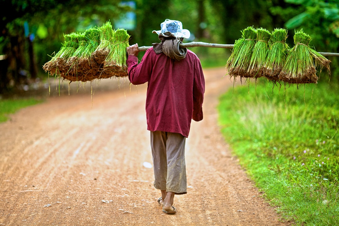 Paths to Sustainable Dividend Income