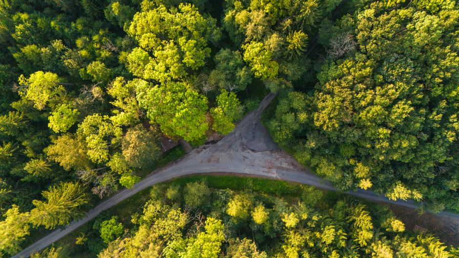 Two Roads: Growth-Oriented vs. Yield-Heavy Portfolios