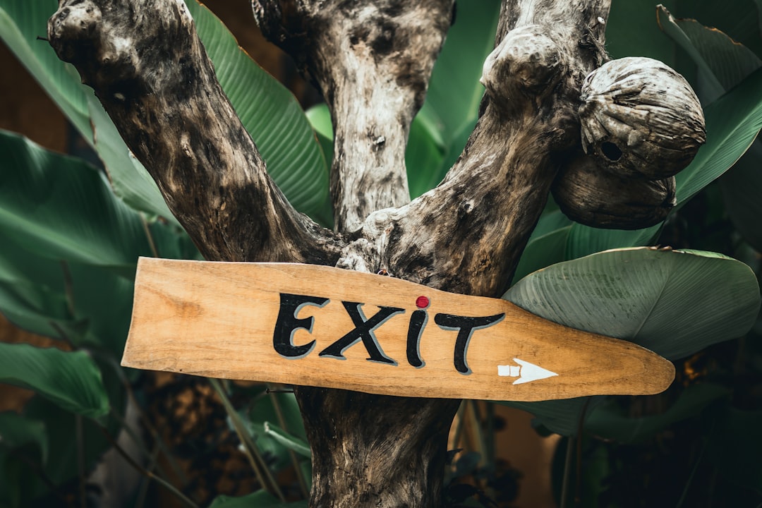 Why This Exit Matters: Portfolio Strategy and Market Context