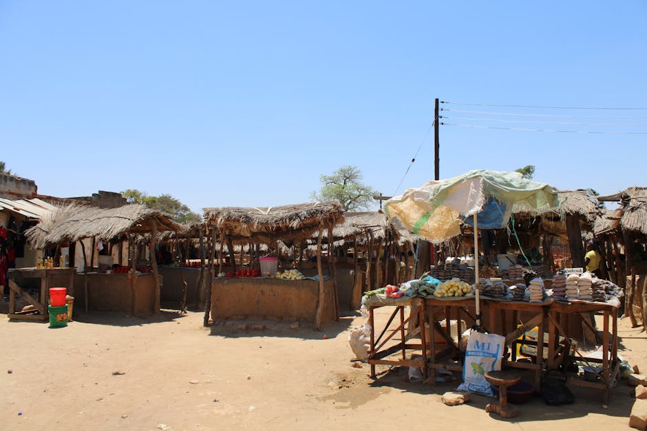 What’s the Best Crypto With $1,000 Today? A Two-Path View