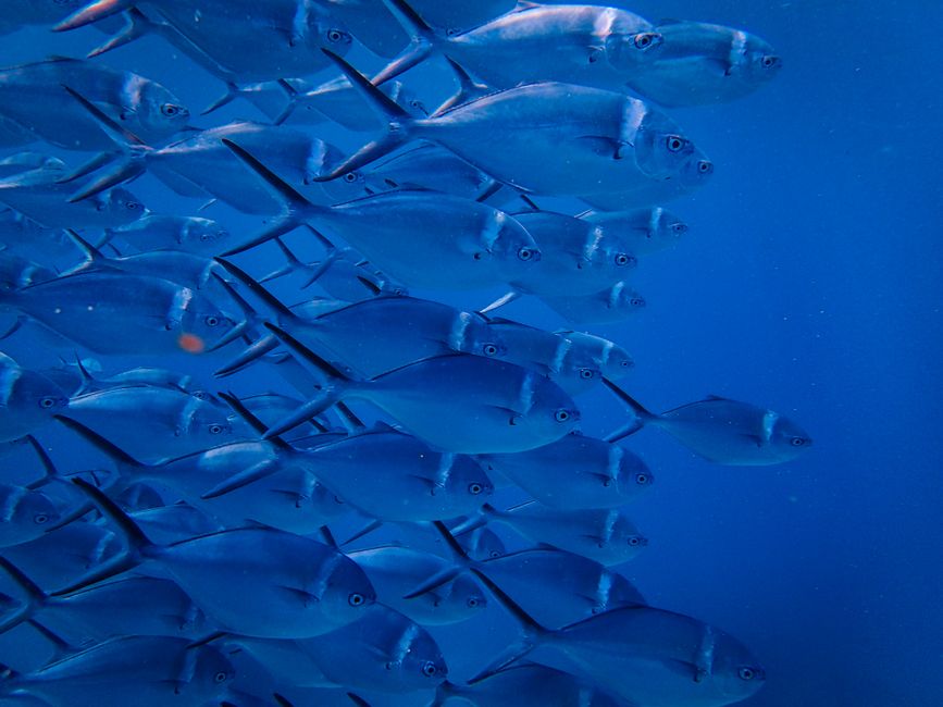 Deep Dive: The Regulatory and Funding Landscape