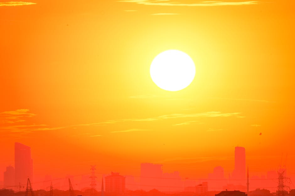 Why The Move Hit: Weather, Policy, and Demand