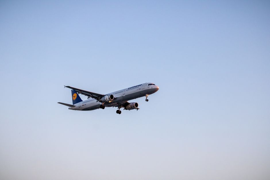 Which Airline Stock Dominated in 2026? The Nuanced Answer