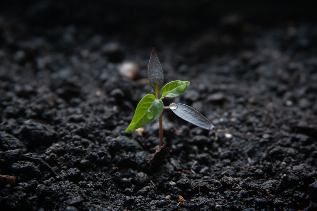 Growth Momentum, Margins and Returns: Who Truly Benefits Shareholders?