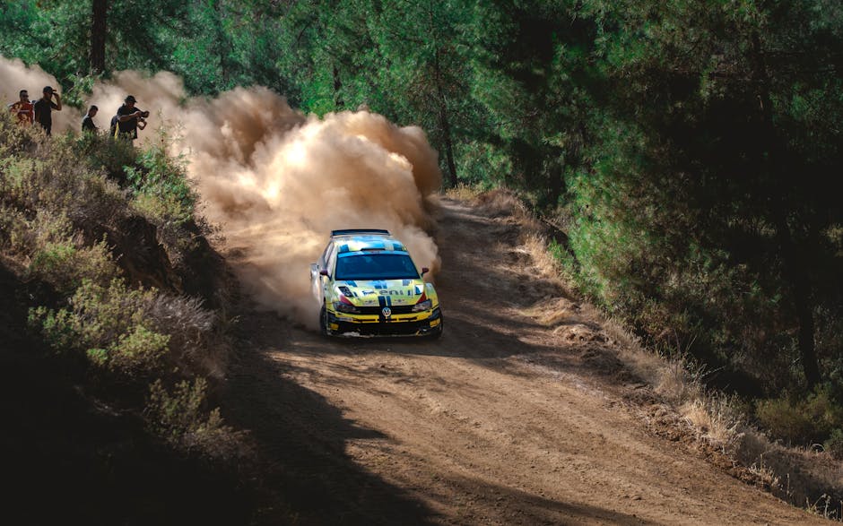 What’s Driving the Rally?