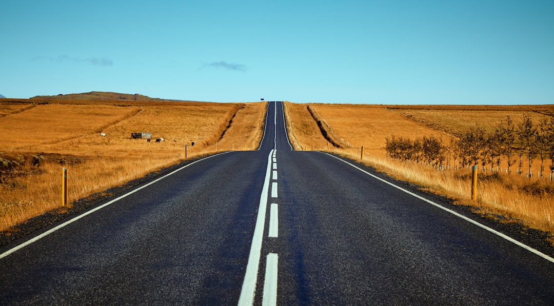 The Road Ahead: Catalysts and Watchpoints