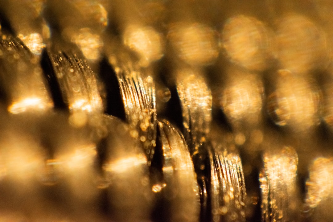 New Gold And The Sector: Reading The Company-Specific Lens