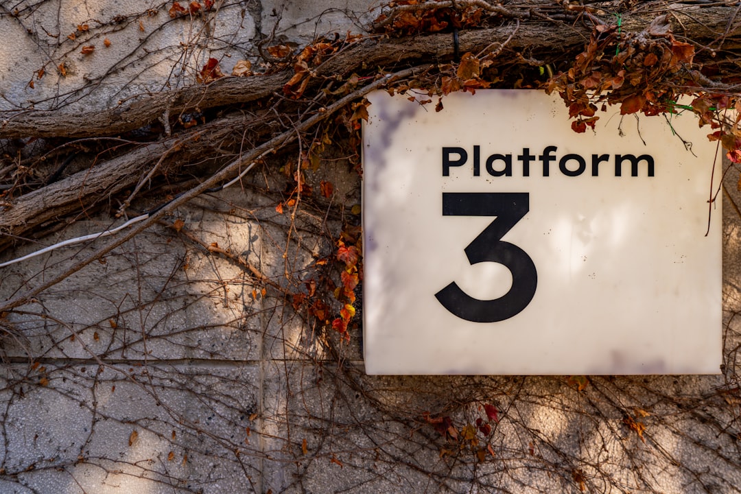 Platforms, Capital Flows And Regulation