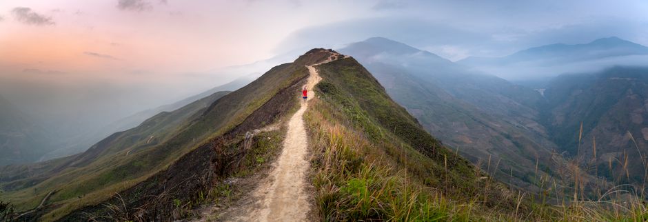 Market Conditions And The Path Forward