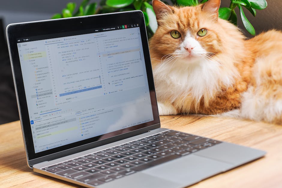 Is Red Cat a Buy, Hold, or Sell After This Drop?