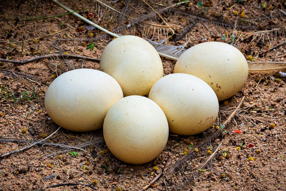 Why even a big nest egg can feel small: the big cost drivers