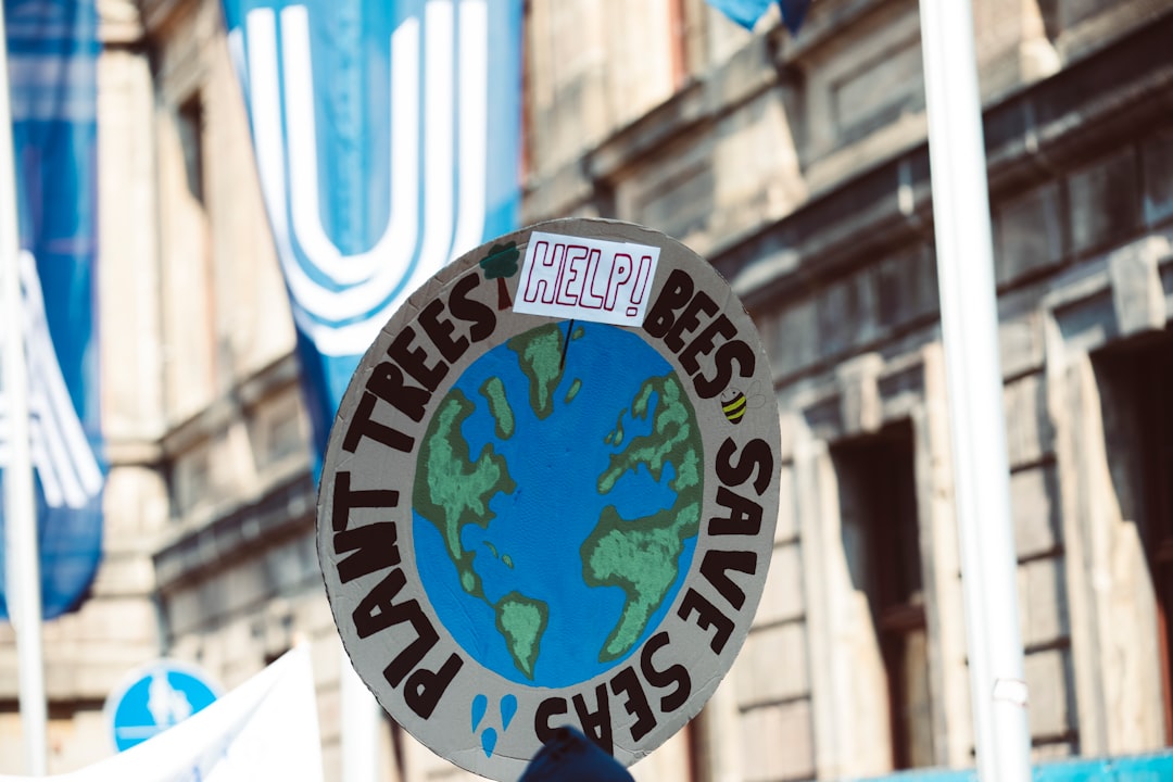 Is the Rally Sustainable? What to Look For Next