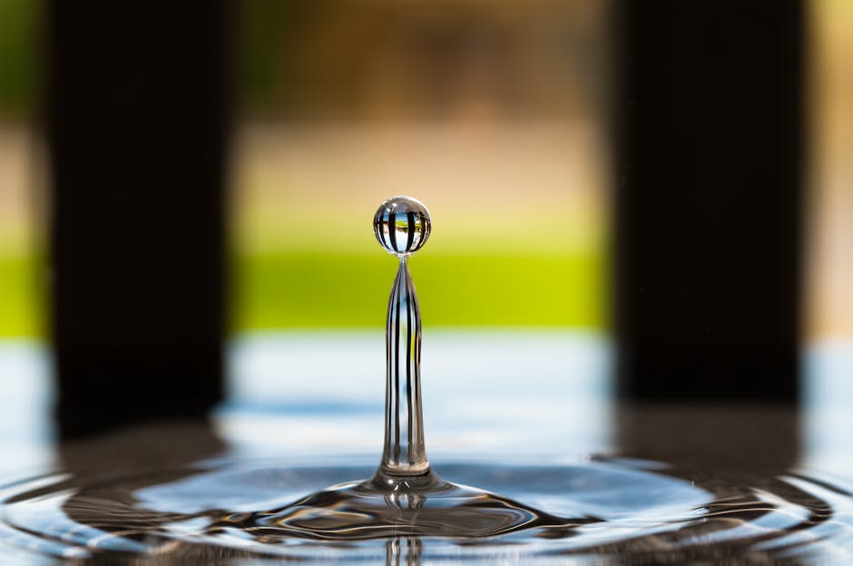 Decoding the Drop: Macro vs XRP-Specific Signals