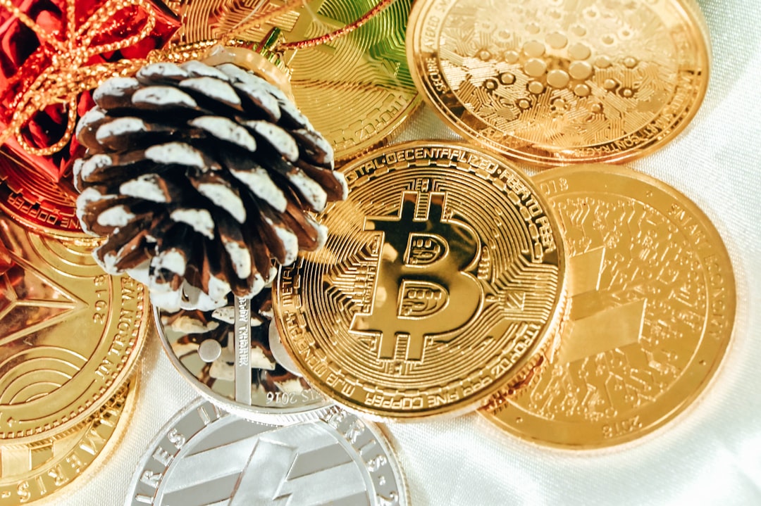 On-Chain Signals in Focus