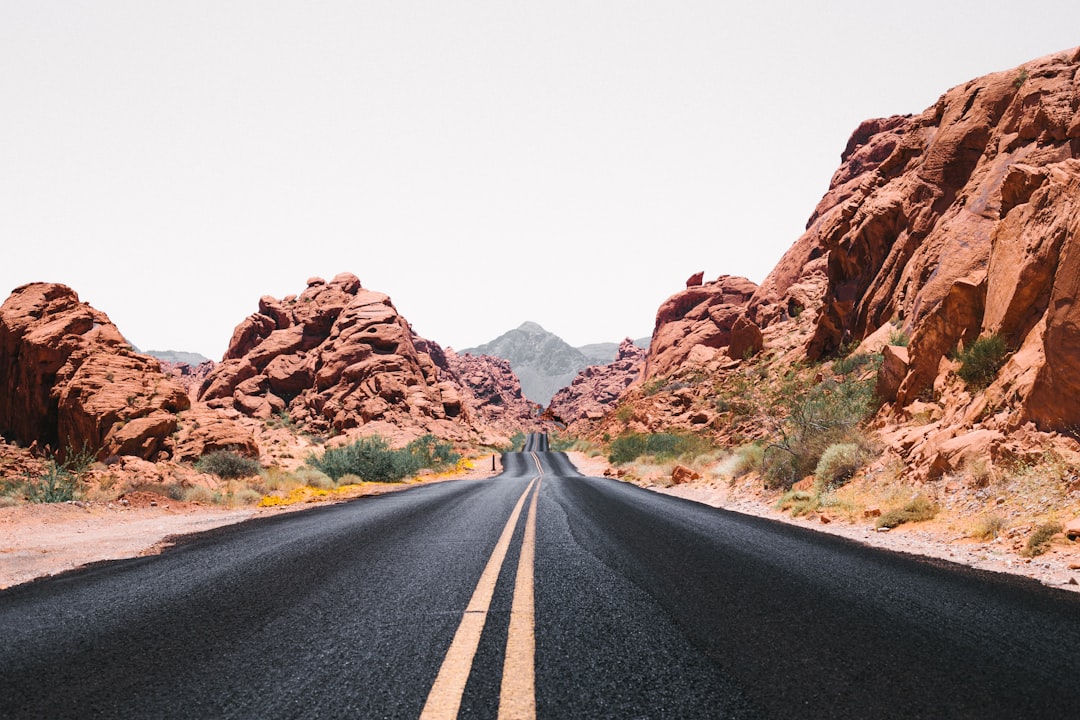 Analyst Voices: Perspectives on the Route Ahead