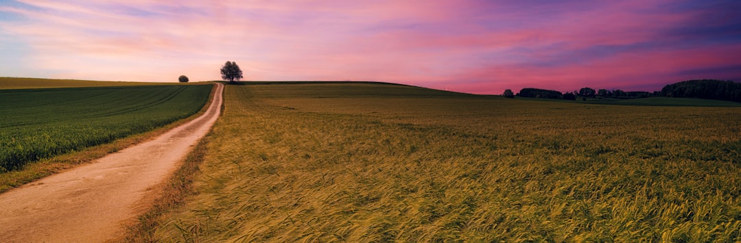 Policy Path Under Warsh: Gradual vs. Abrupt