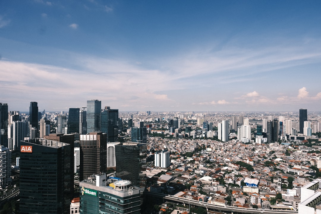 Next Steps for Businesses and Investors