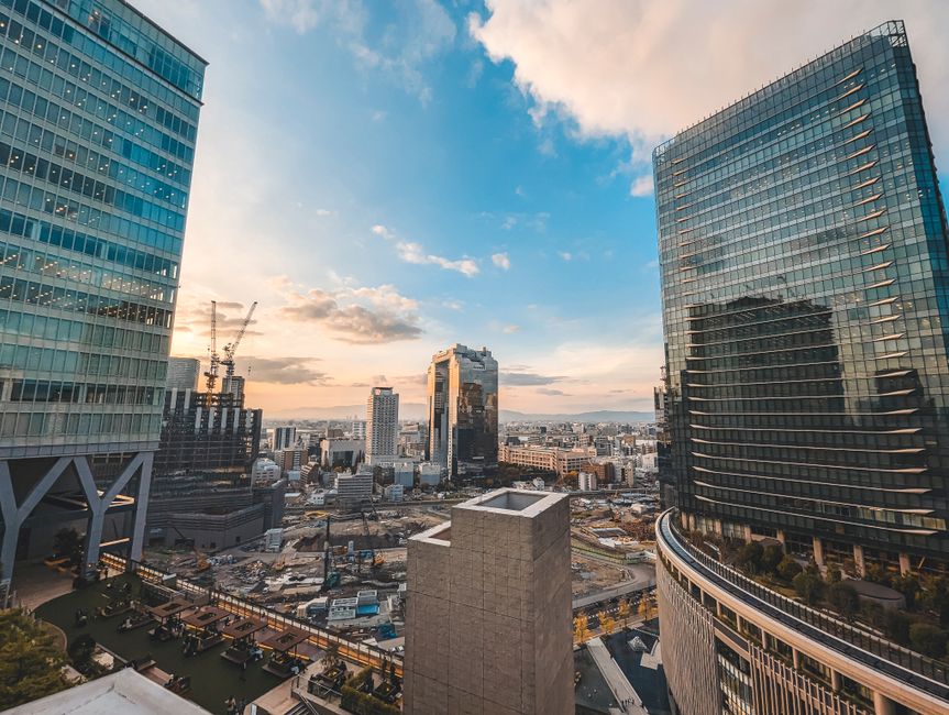 Competitive Landscape: Why a Japanese Rival Is a Talking Point