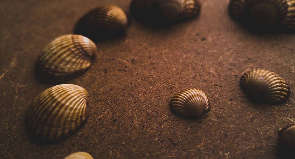 Shell’s Position in a Tight Market