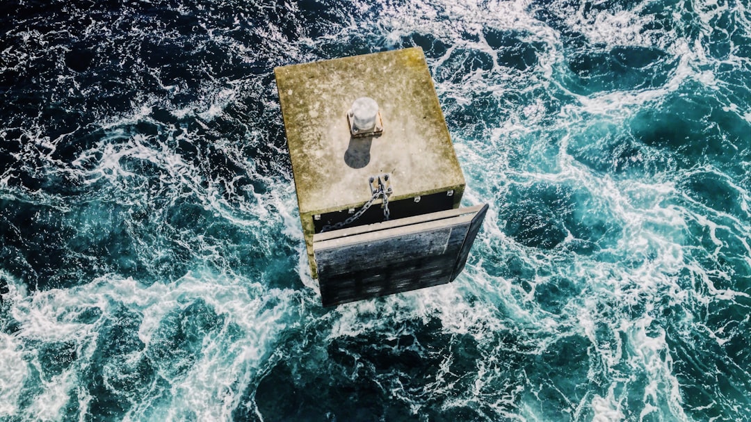 The Survival Risk and AI Financial Warning