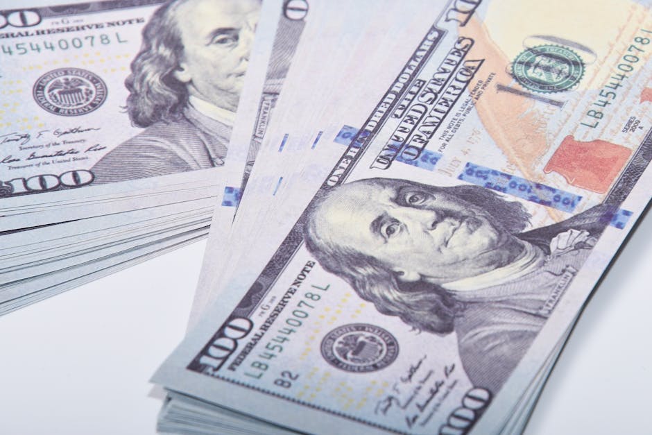 How to Use 2025 Earnings Data in Your Investment Plan