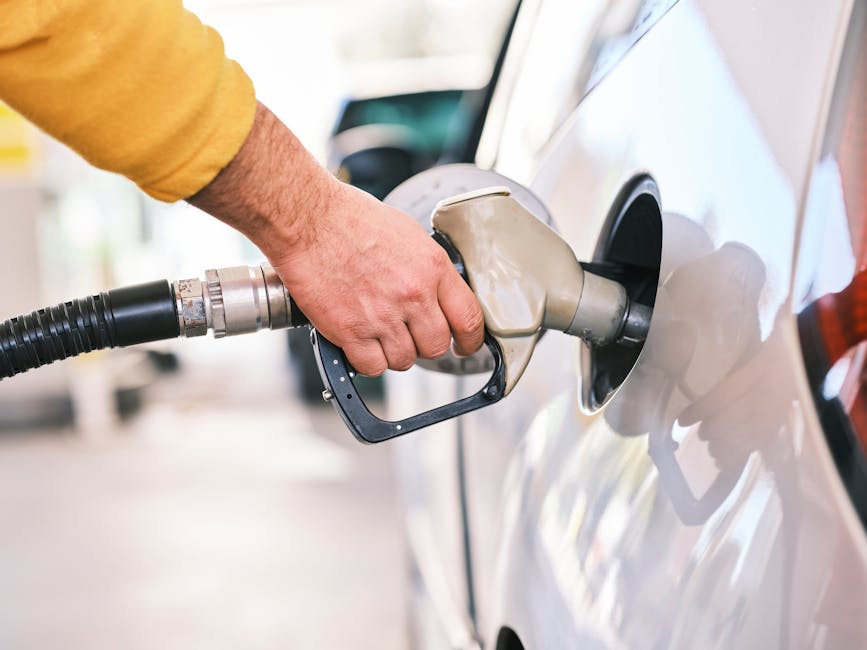What Fueled the Quarter: Key Drivers Behind the Results