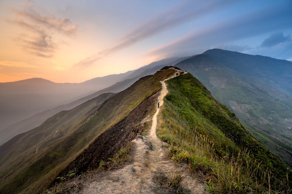 Analyst Perspectives On the Path Ahead