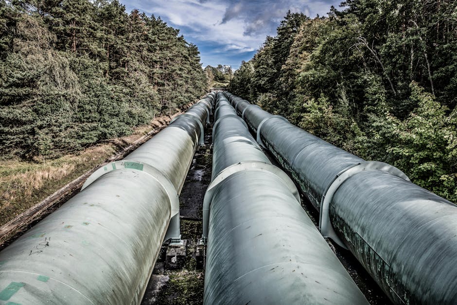 Regulatory Momentum, ETF Pipeline, and the Demand Image