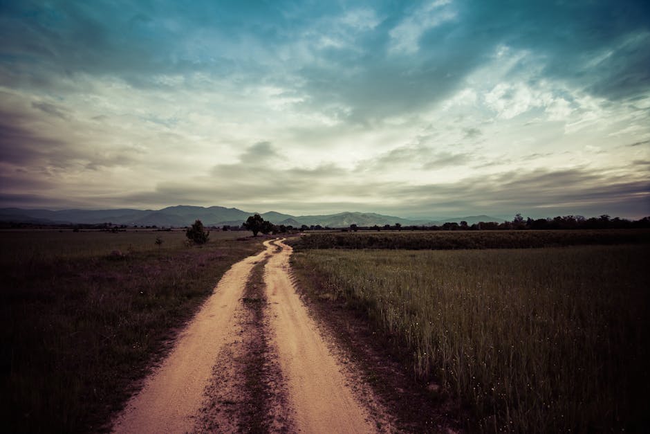 Analyst Perspectives On The Path Ahead