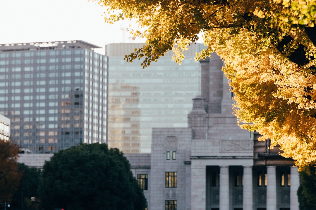 How the Strategy Rests on Risk and Reward