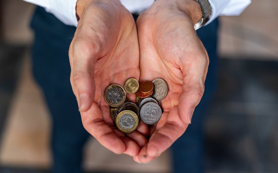 Next Steps for Members and the Public