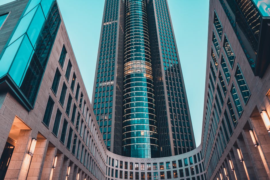 Quotes and Perspectives