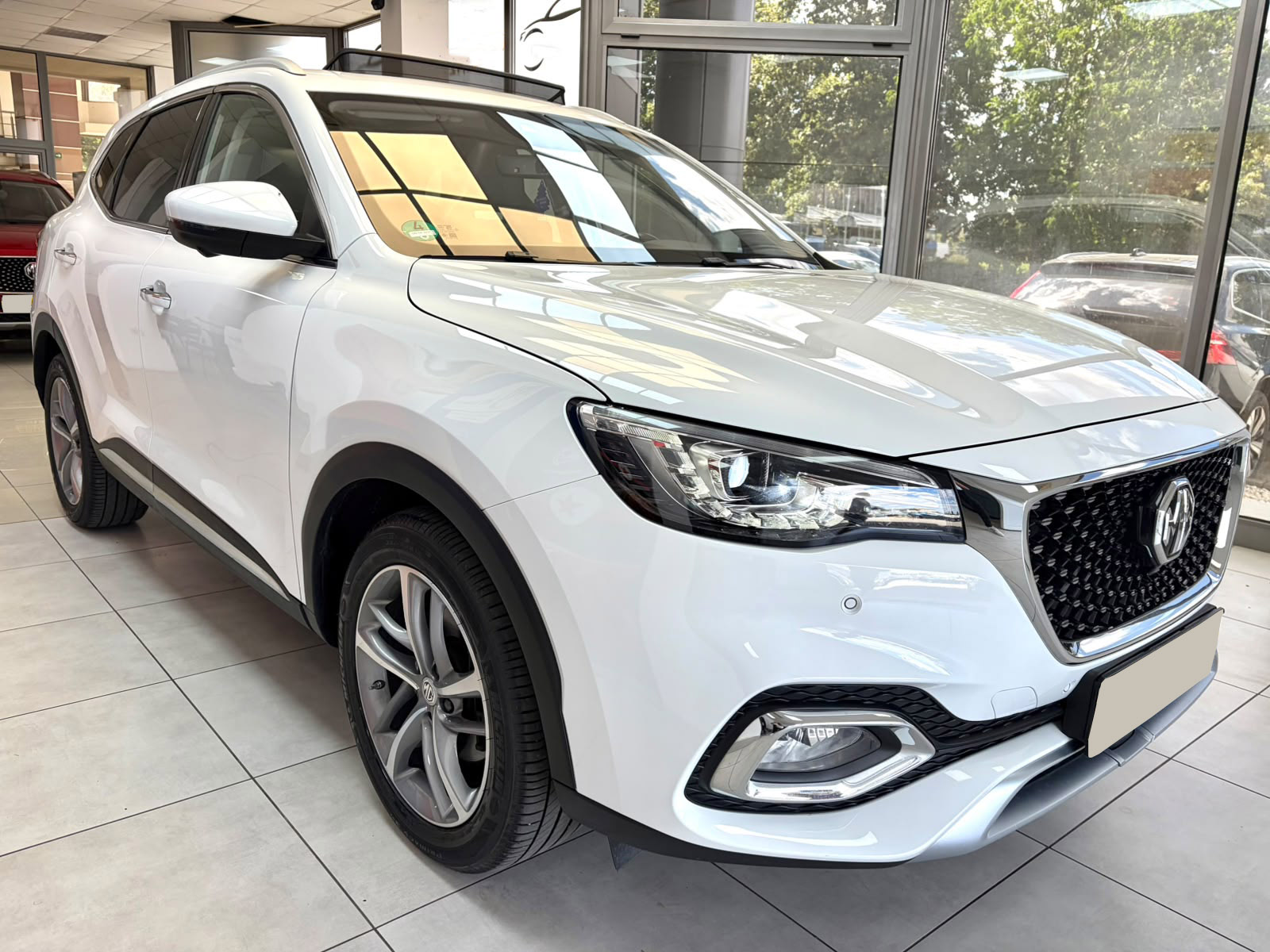 MG Mg-Ehs