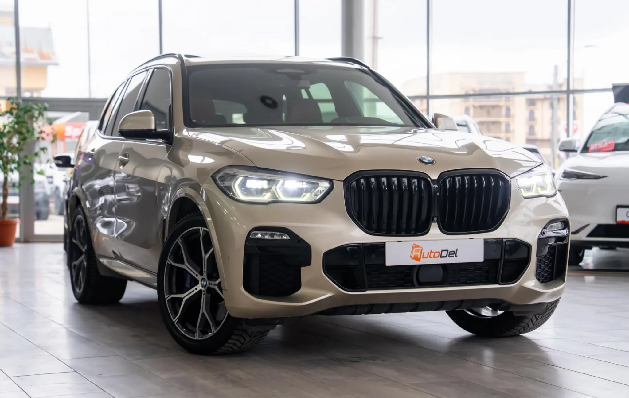 BMW X5 XDrive 30D — poza 2