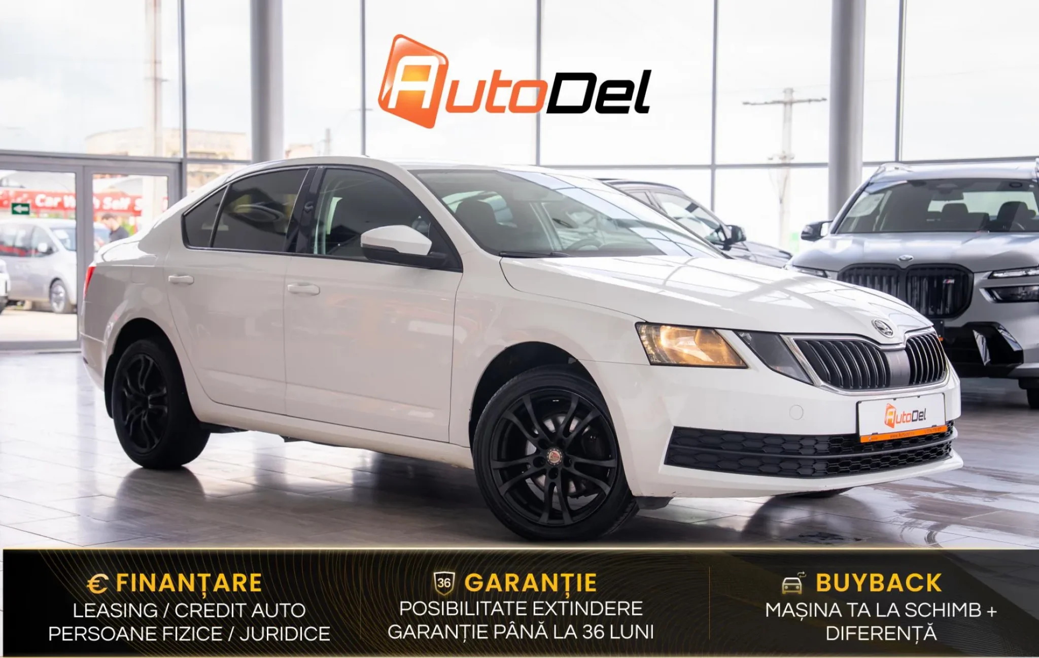 Skoda Fabia Ambition 1.0 TSI DSG TEMPO*PDC*SHZ*LED