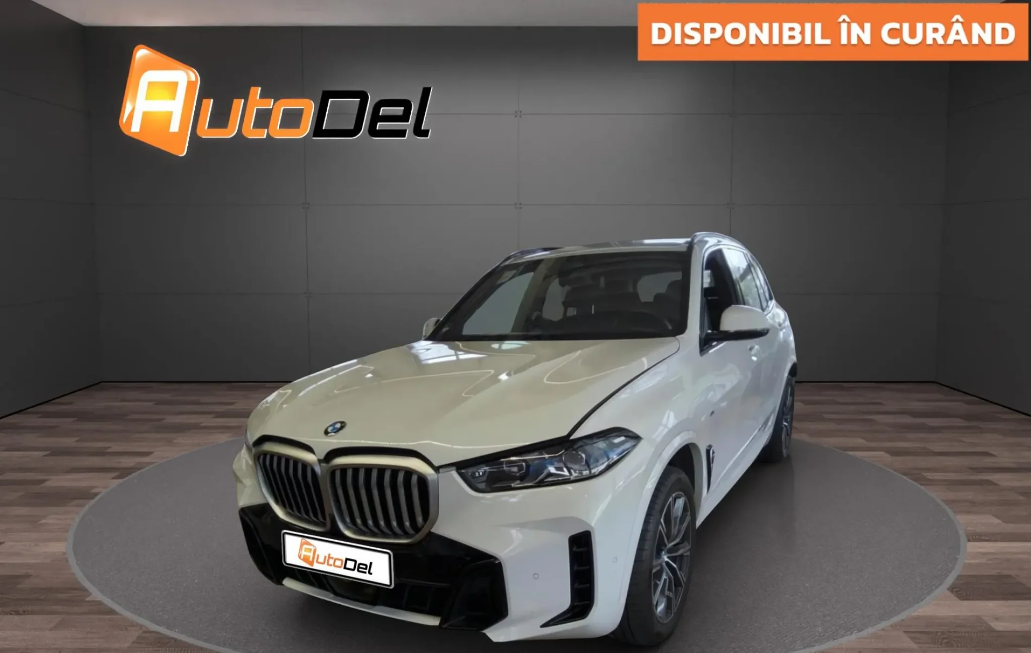 BMW X5 xDrive30d Sport-Automatic "M Sportpaket" — poza 3